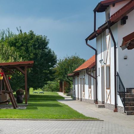 Magda Garden Otel Cîrţişoara Dış mekan fotoğraf