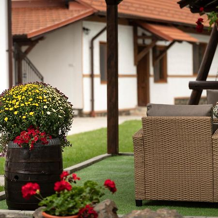 Magda Garden Otel Cîrţişoara Dış mekan fotoğraf