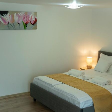 Magda Garden Otel Cîrţişoara Dış mekan fotoğraf