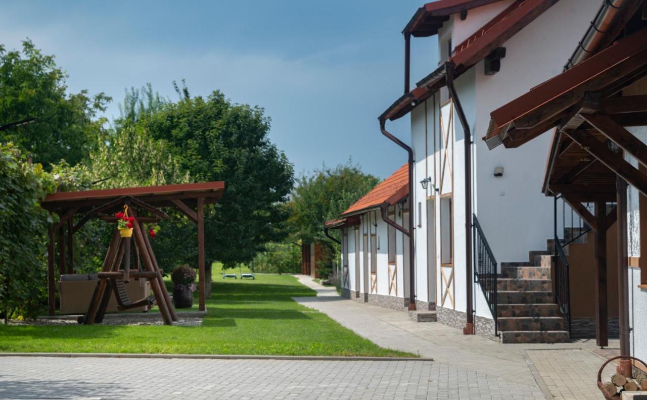 Magda Garden Otel Cîrţişoara Dış mekan fotoğraf