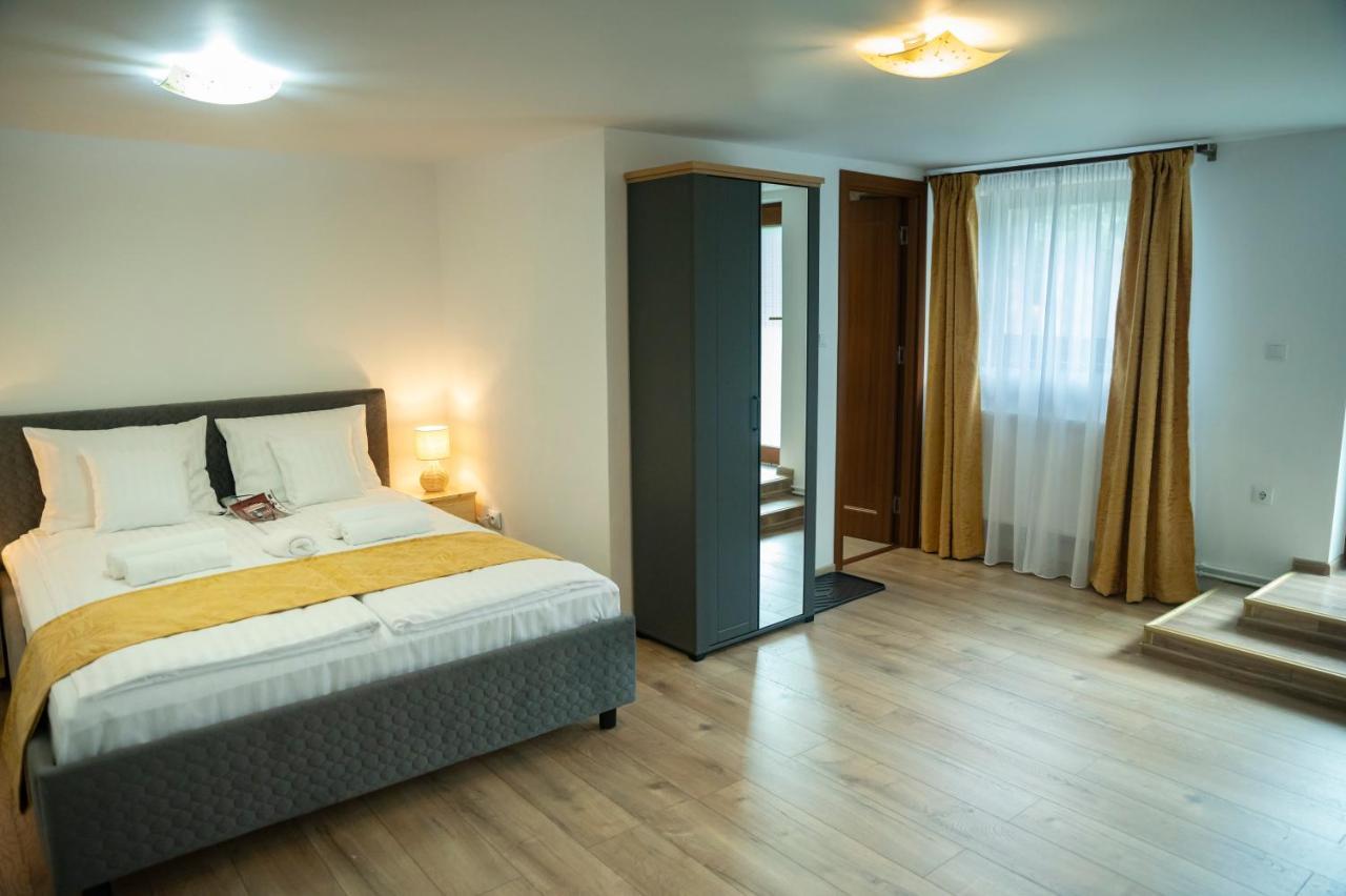 Magda Garden Otel Cîrţişoara Dış mekan fotoğraf