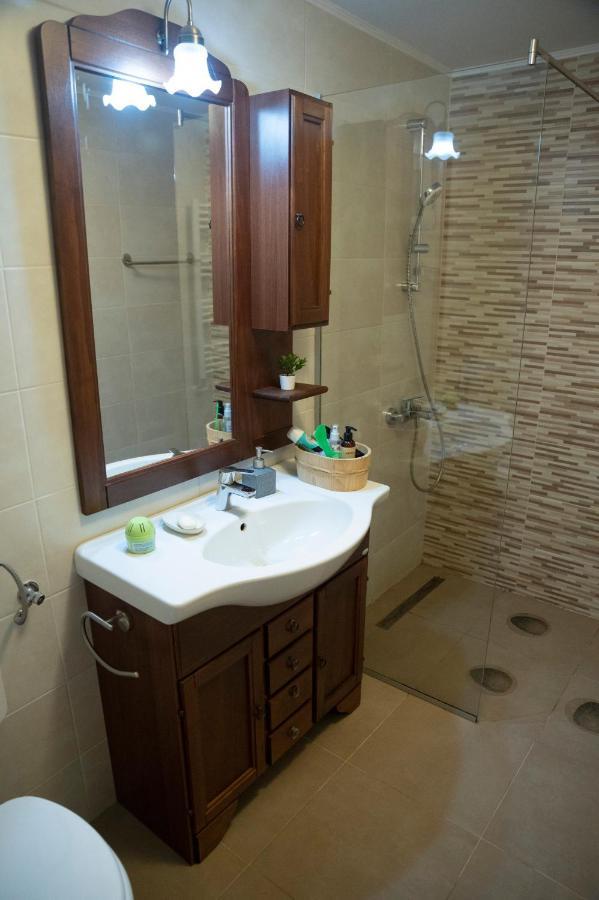 Magda Garden Otel Cîrţişoara Dış mekan fotoğraf