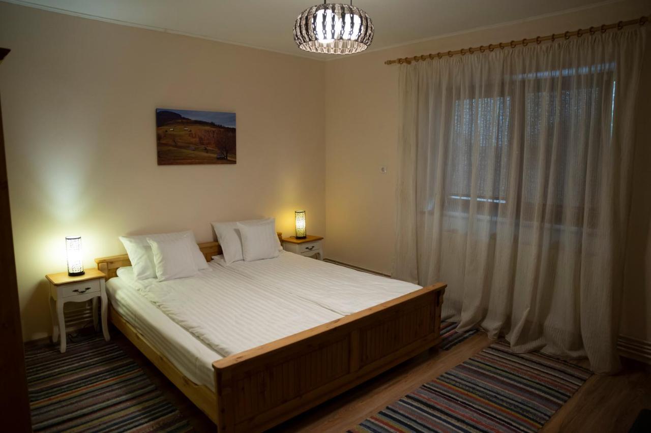 Magda Garden Otel Cîrţişoara Dış mekan fotoğraf