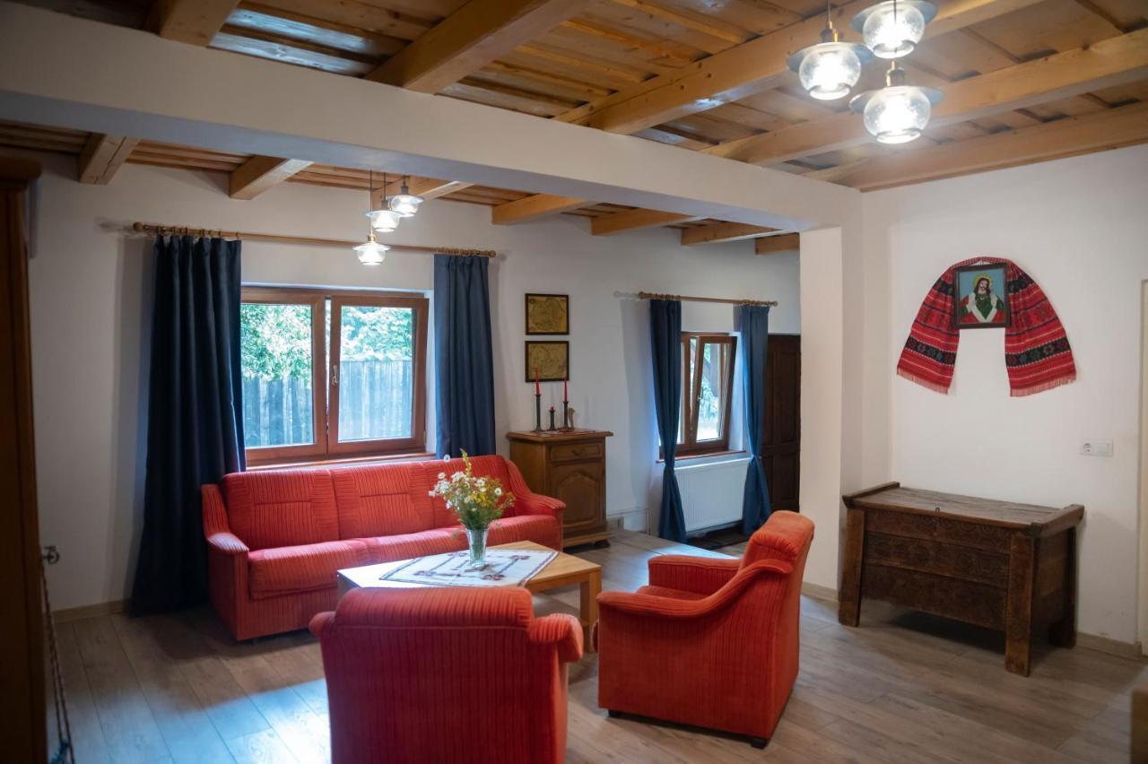 Magda Garden Otel Cîrţişoara Dış mekan fotoğraf