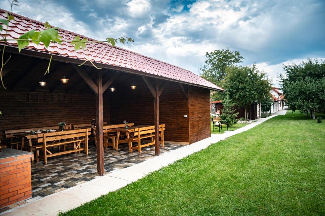 Magda Garden Otel Cîrţişoara Dış mekan fotoğraf