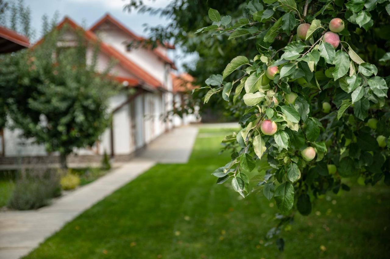Magda Garden Otel Cîrţişoara Dış mekan fotoğraf