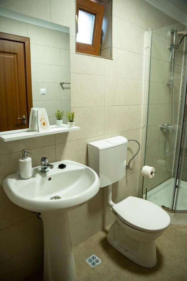 Magda Garden Otel Cîrţişoara Dış mekan fotoğraf