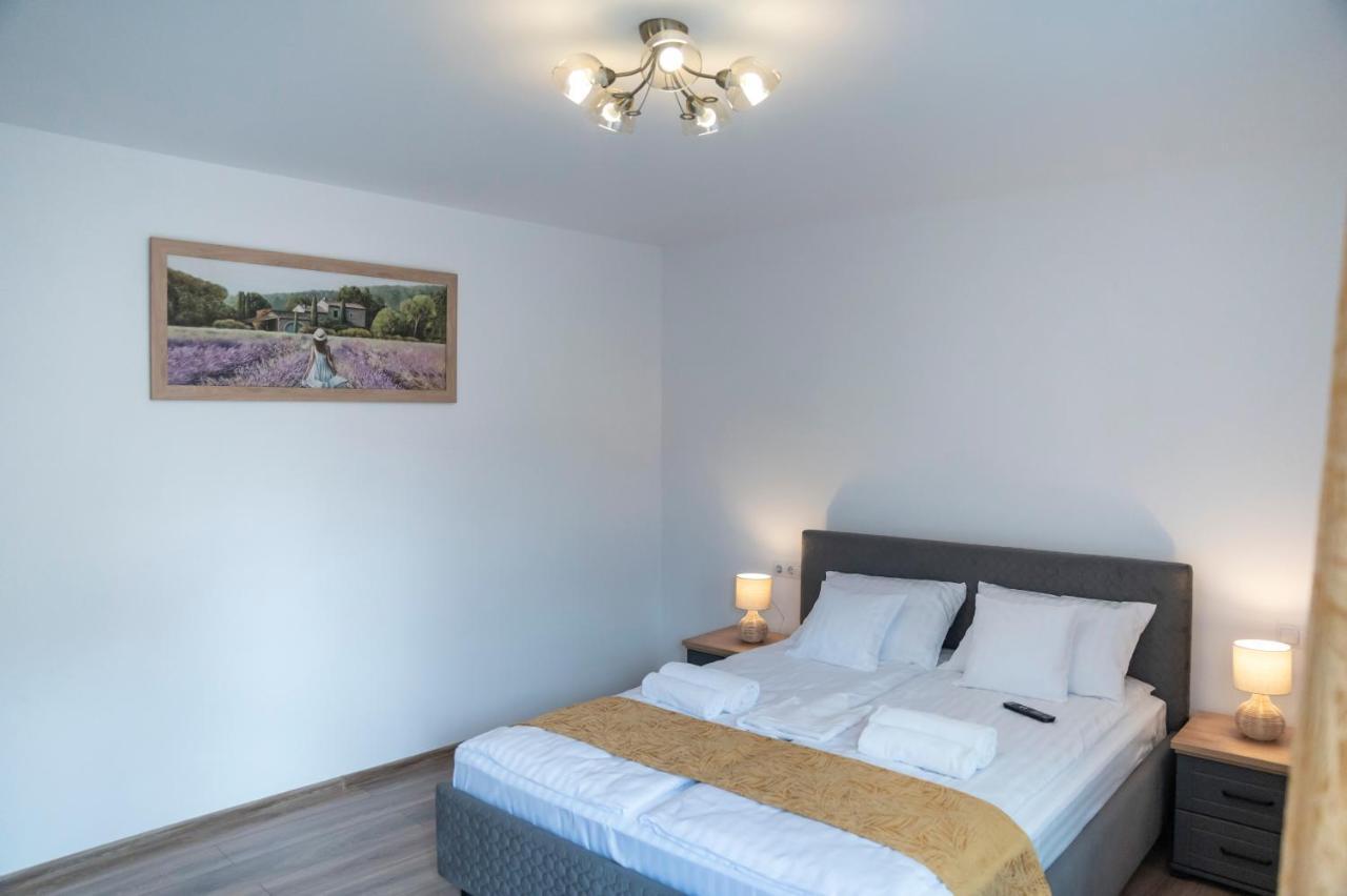 Magda Garden Otel Cîrţişoara Dış mekan fotoğraf