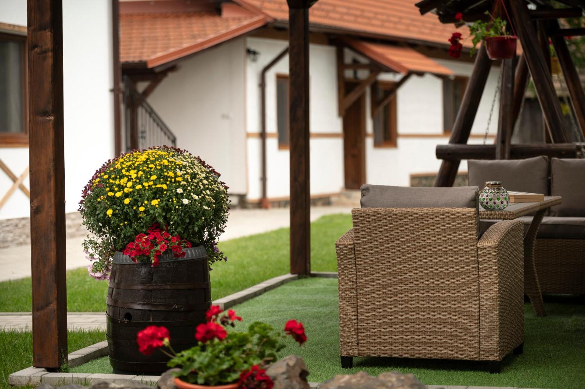 Magda Garden Otel Cîrţişoara Dış mekan fotoğraf