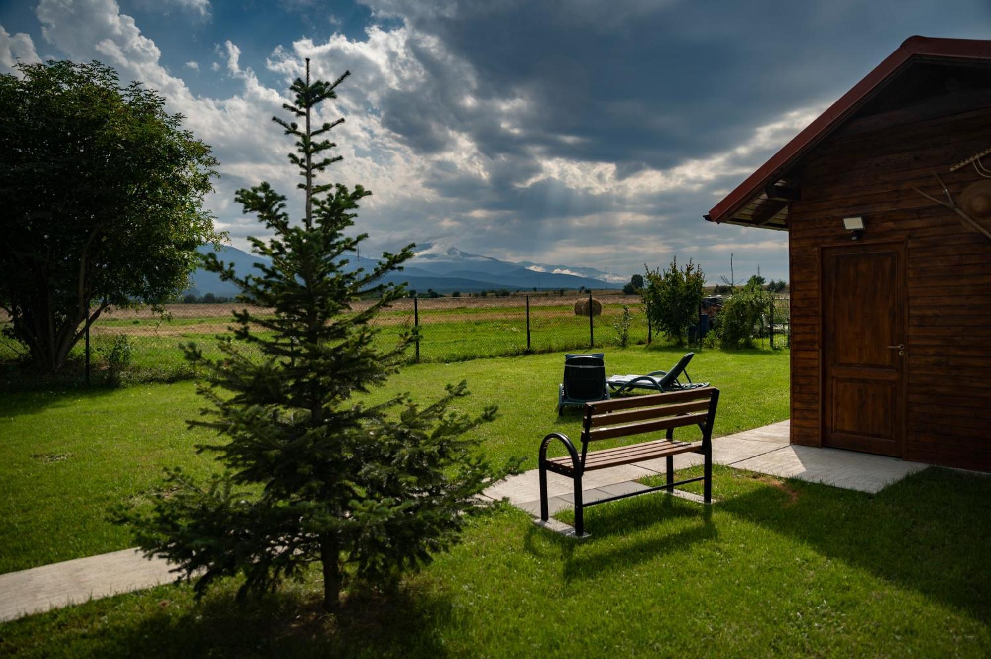 Magda Garden Otel Cîrţişoara Dış mekan fotoğraf