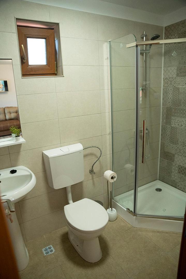 Magda Garden Otel Cîrţişoara Dış mekan fotoğraf