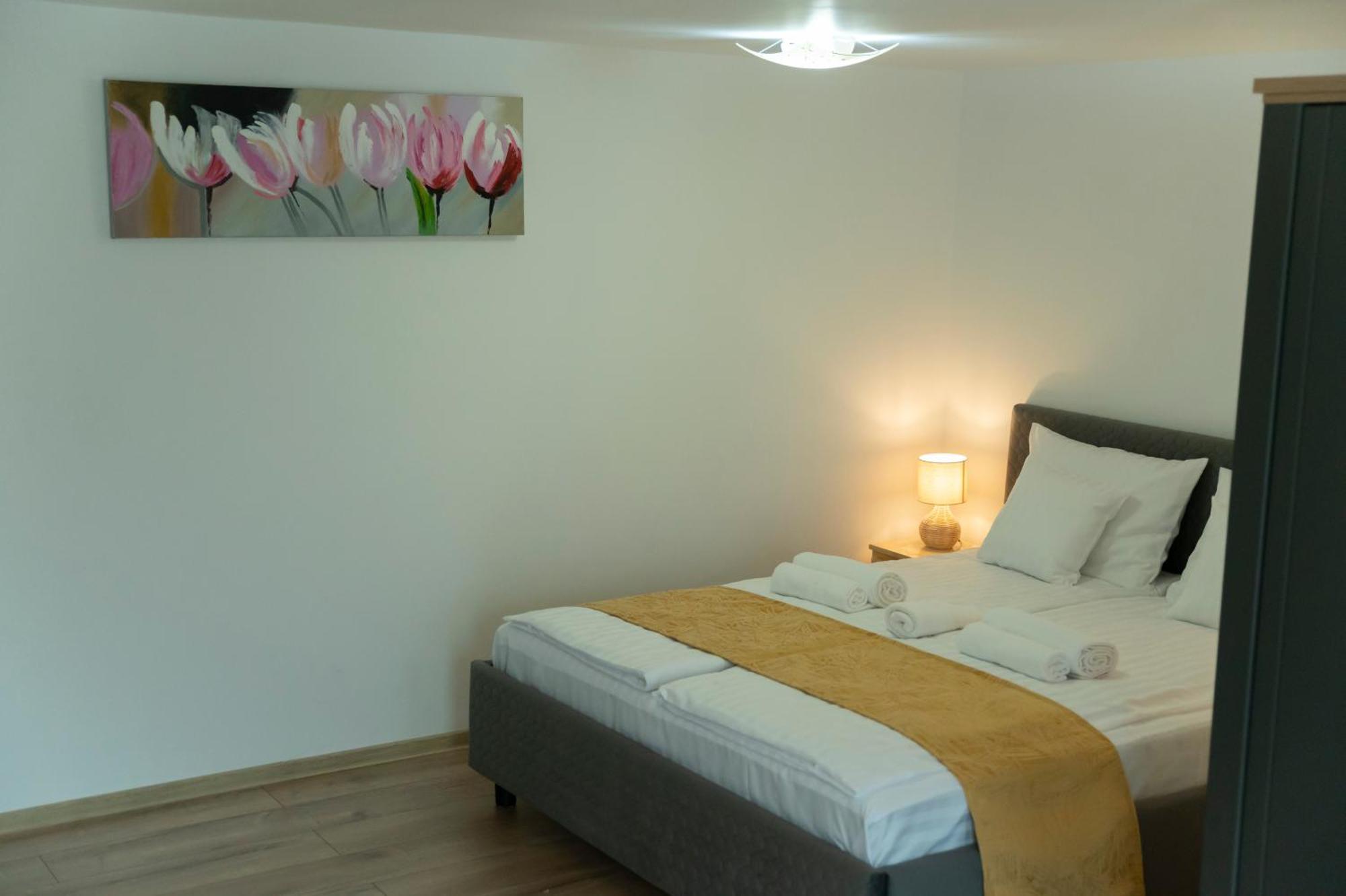 Magda Garden Otel Cîrţişoara Dış mekan fotoğraf